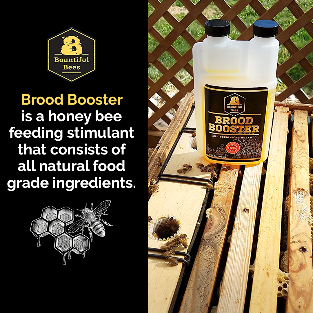 Brood Booster and Feeding Stimulant (16 Ounce)